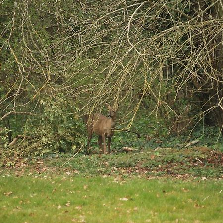 Le Nid De Dany Panzió Cosne-sur-Loire Kültér fotó